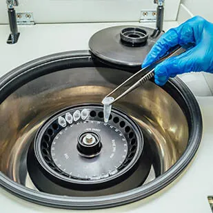 Lab technicians reviewing samples