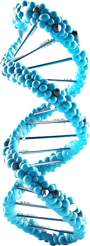 DNA molecular structure representing molecular diagnostics at AccuLabDX