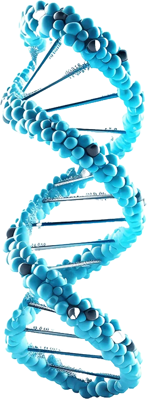 DNA molecular structure representing molecular diagnostics at AccuLabDX